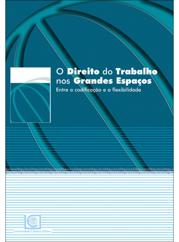 O DIREITO DO TRABALHO NOS GRANDES ESPAÇOS